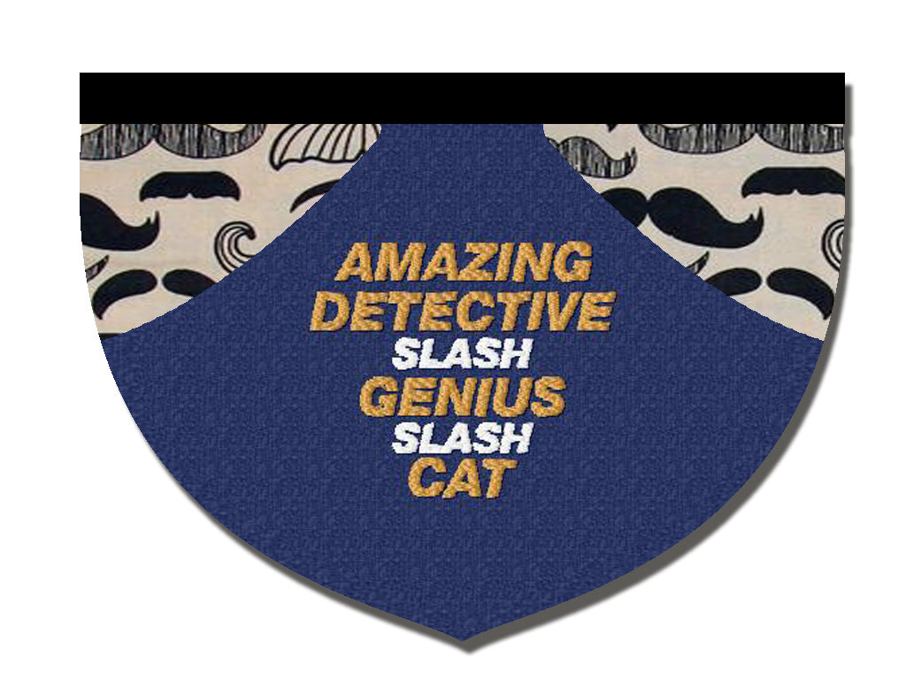 Amazing detective slash genius slash cat