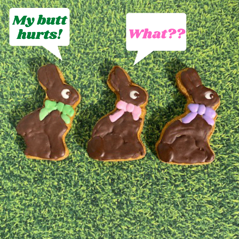 Funny chocolate easter bunny dog-safe cookies